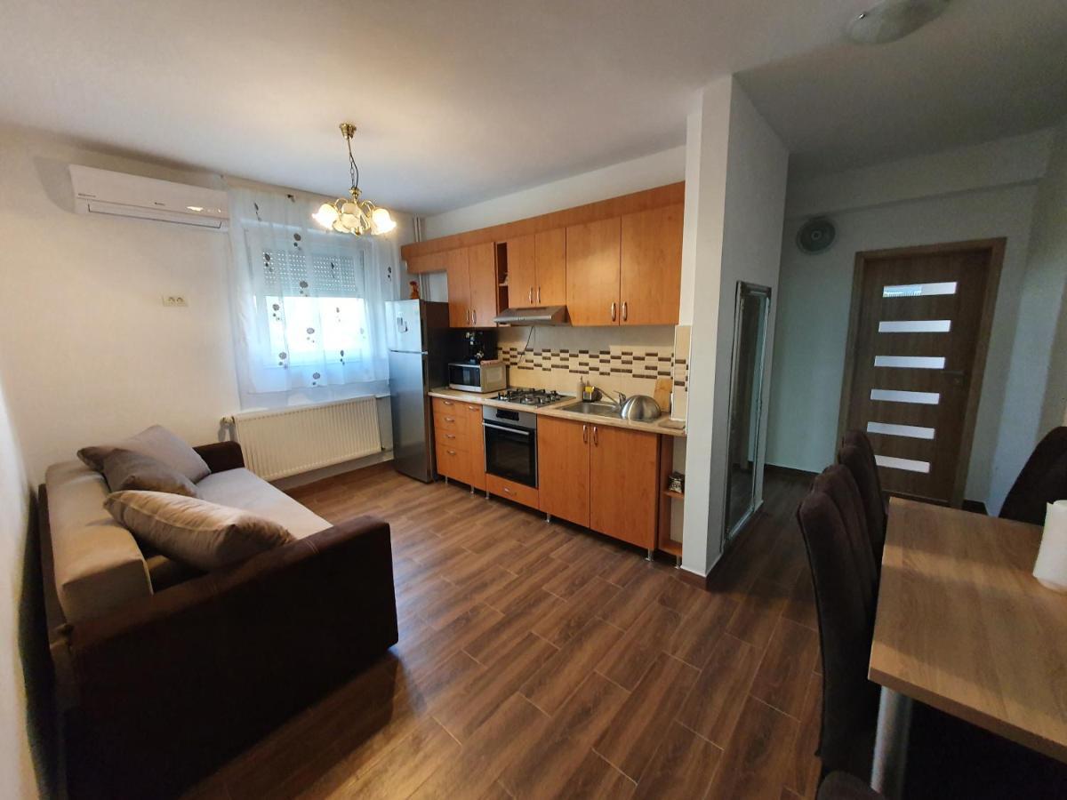 Apartament Andrei Baile Felix Bagian luar foto