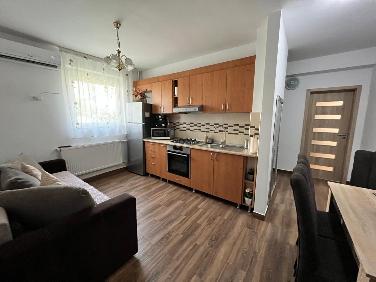 Apartament Andrei Baile Felix Bagian luar foto
